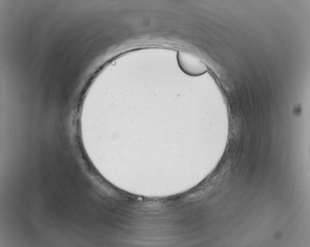 X0000116301507201001111106