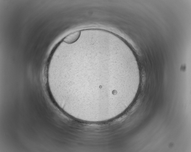 X0000116301510201001111106