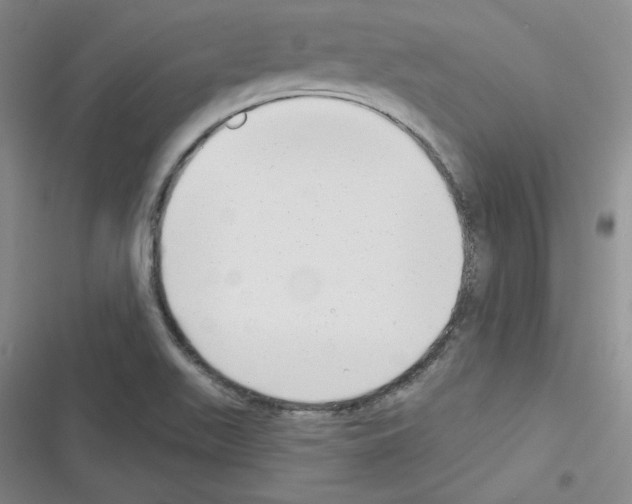 X0000116301511201001111106