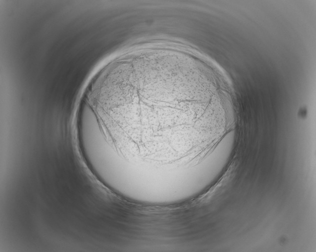 X0000116301514201001111106