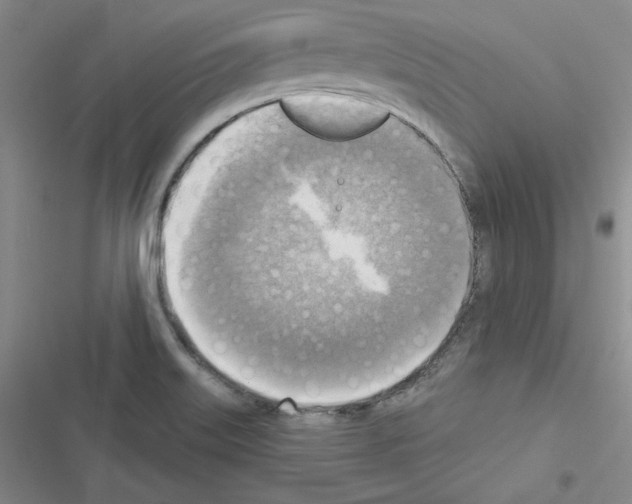 X0000116301515201001111106