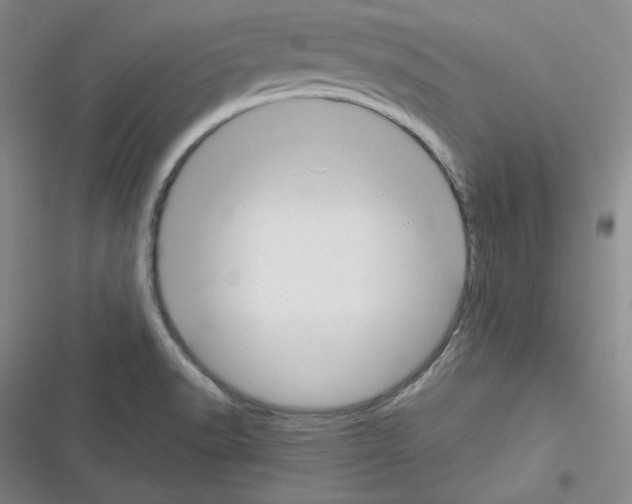 X0000116301518201001111107