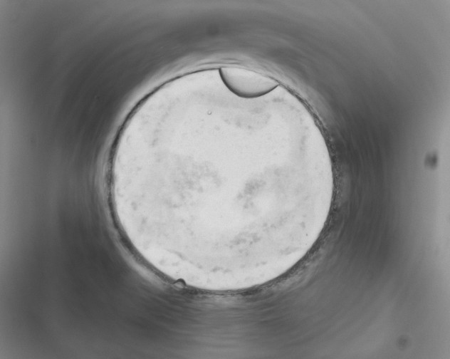 X0000116301519201001111107