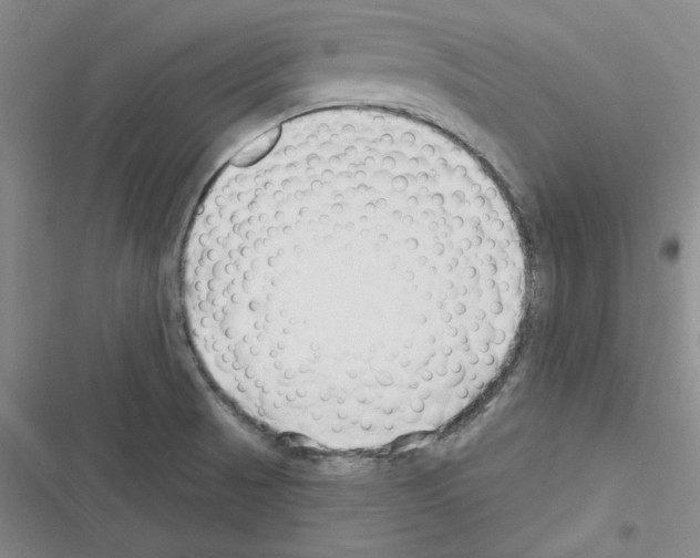 X0000116301521201001111107