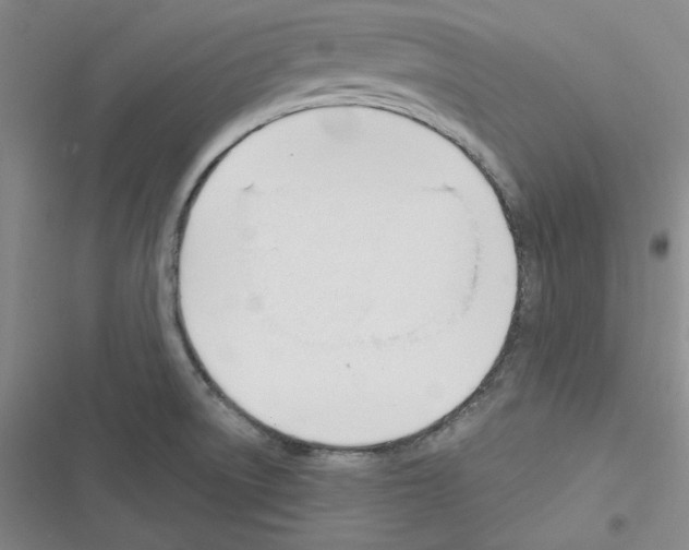 X0000116301522201001111107