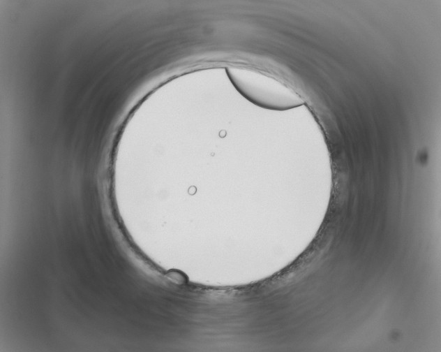 X0000116301523201001111107