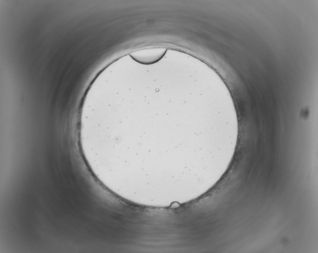 X0000116301526201001111107