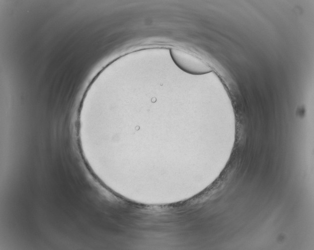 X0000116301527201001111107