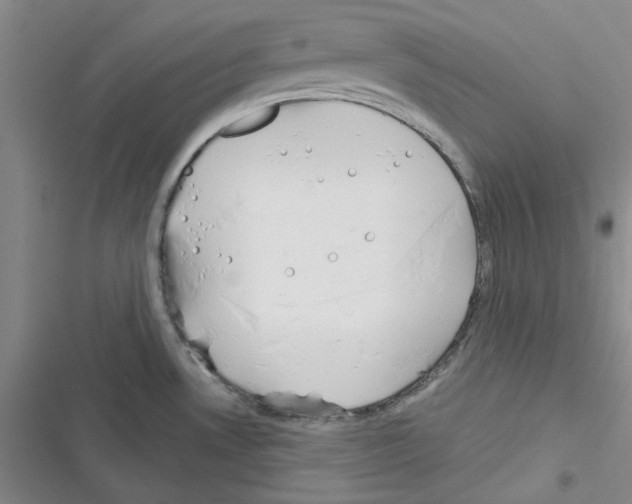 X0000116301530201001111107