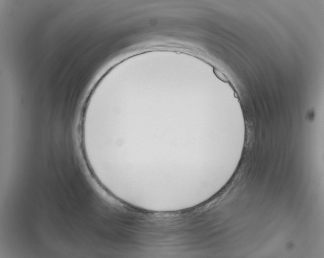 X0000116301531201001111107