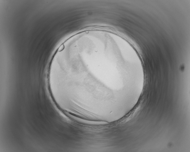 X0000116301533201001111107