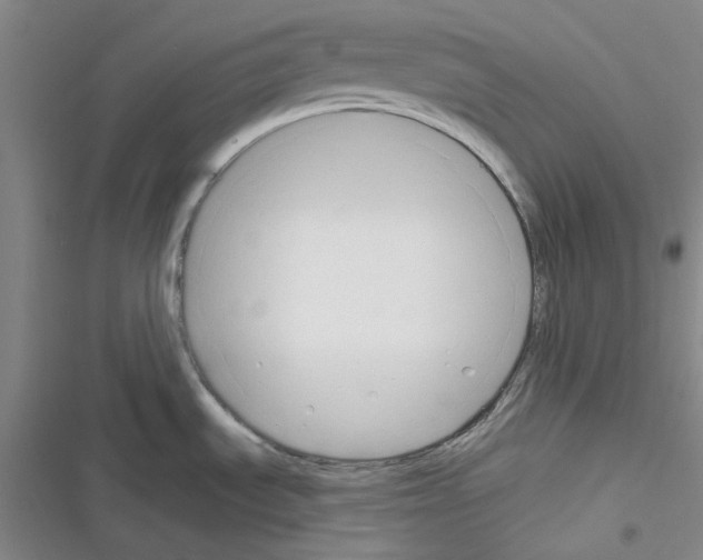 X0000116301535201001111107