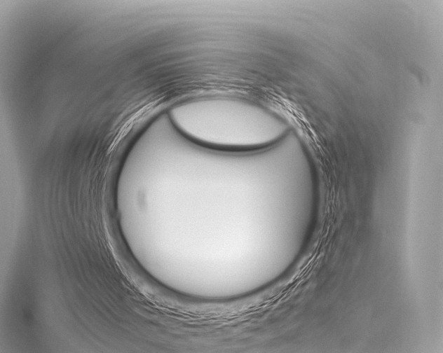 X0000116310001200911301045