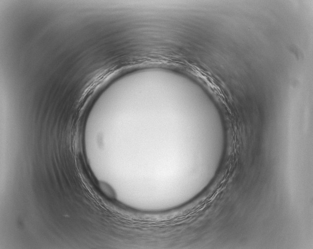 X0000116310002200911301045