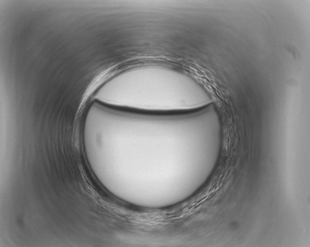 X0000116310004200911301045