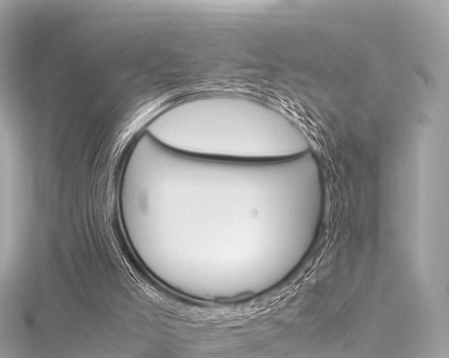 X0000116310005200911301045