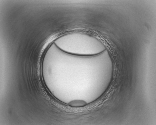 X0000116310006200911301045