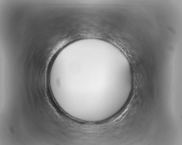 X0000116310008200911301045