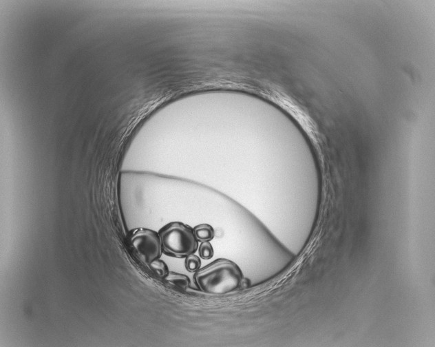 X0000116310009200911301045