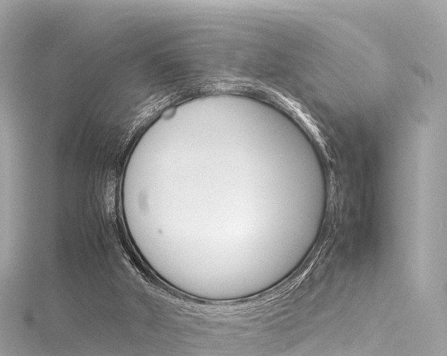 X0000116310010200911301045