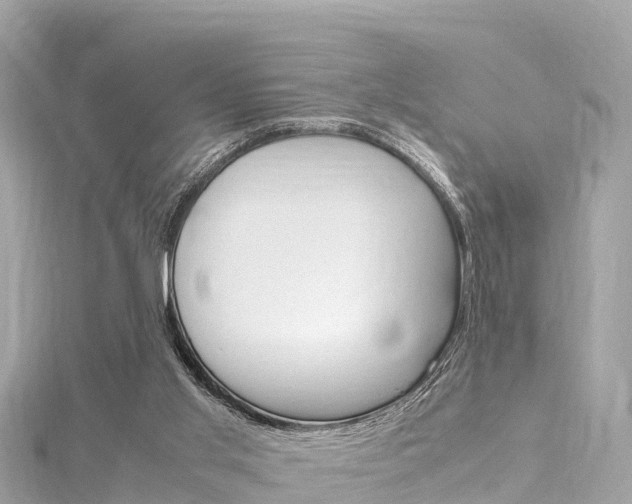 X0000116310013200911301045