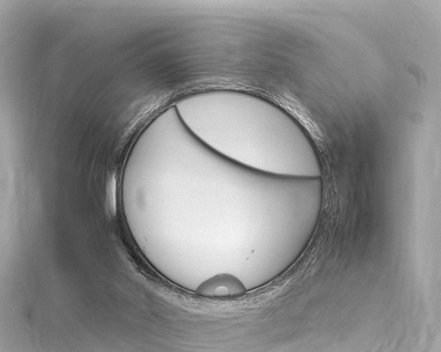 X0000116310014200911301045