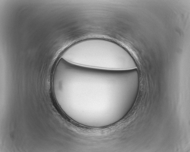 X0000116310015200911301045