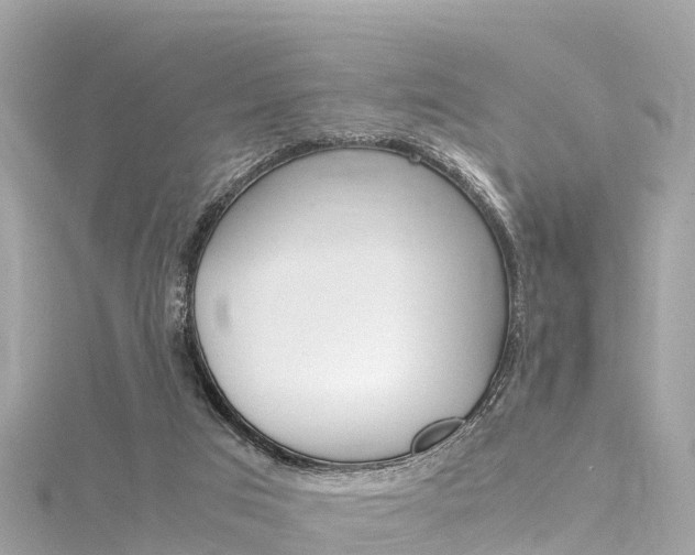 X0000116310017200911301045