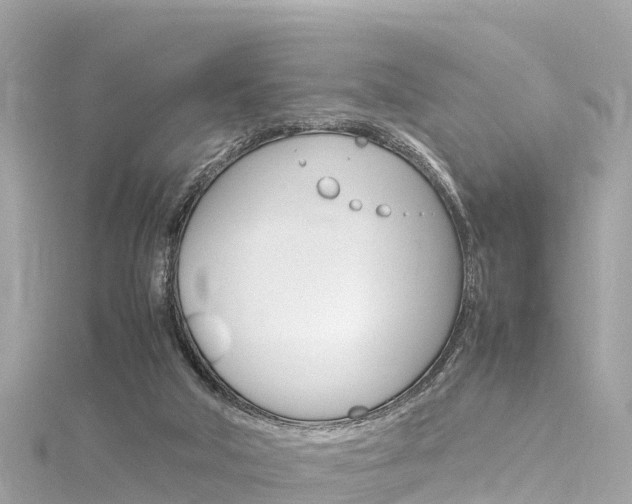 X0000116310018200911301045