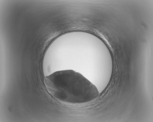 X0000116310019200911301045