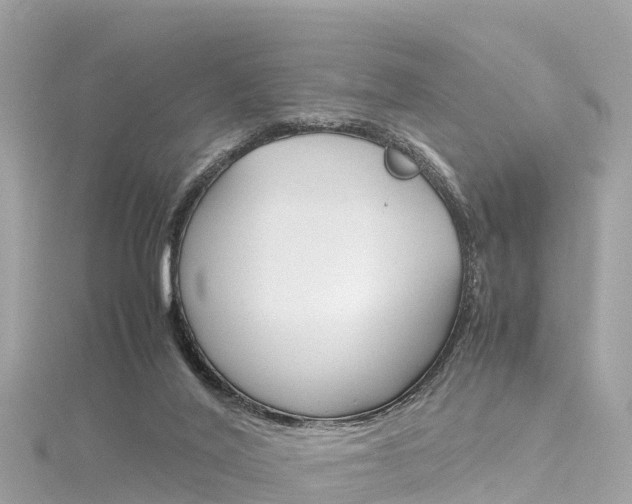 X0000116310020200911301045