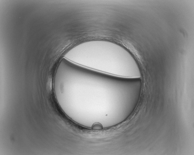 X0000116310021200911301045