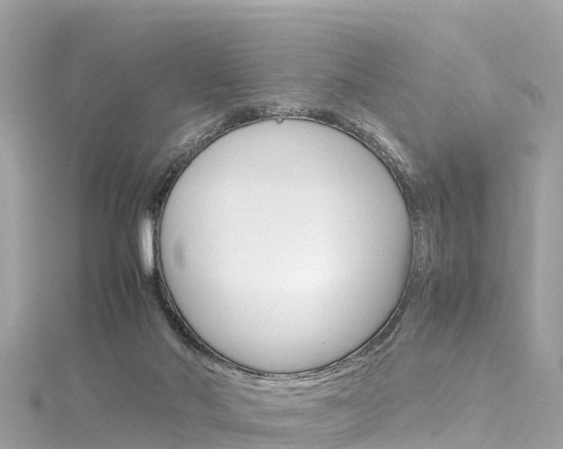 X0000116310022200911301045