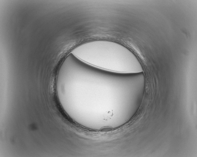 X0000116310023200911301045