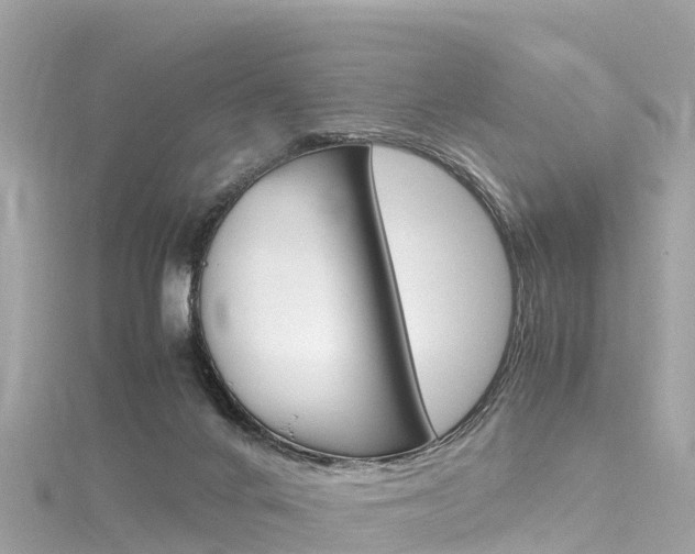 X0000116310024200911301045