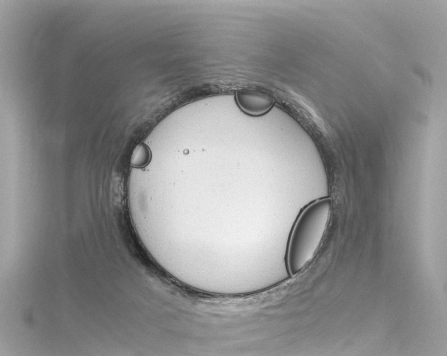 X0000116310025200911301045