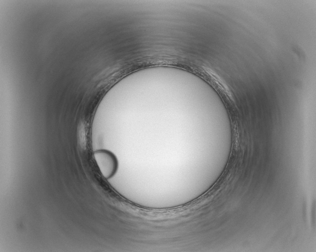 X0000116310026200911301045