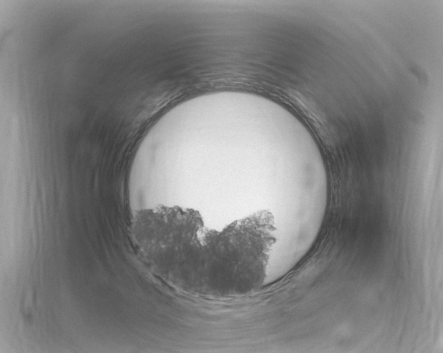 X0000116310028200911301045