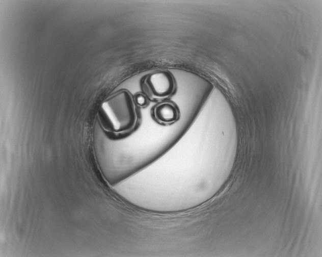 X0000116310029200911301045