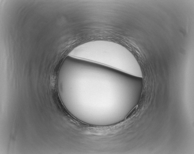 X0000116310033200911301045