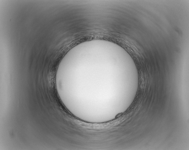 X0000116310034200911301045