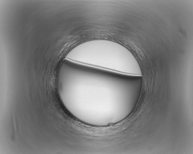 X0000116310035200911301045