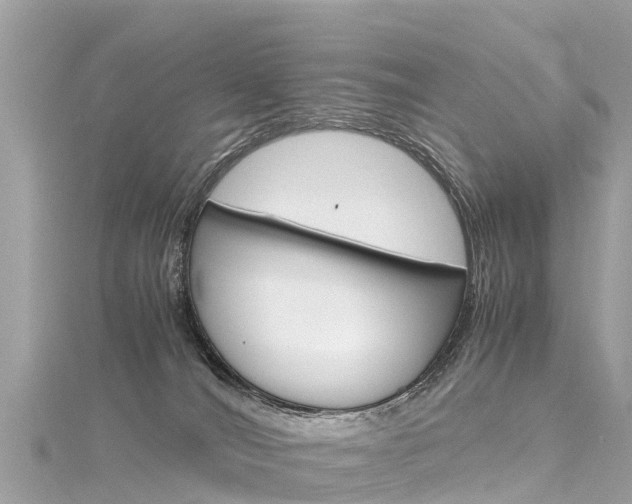 X0000116310036200911301045