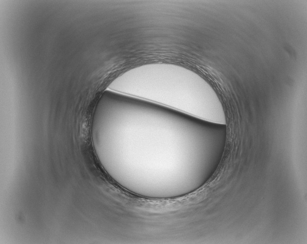 X0000116310037200911301045