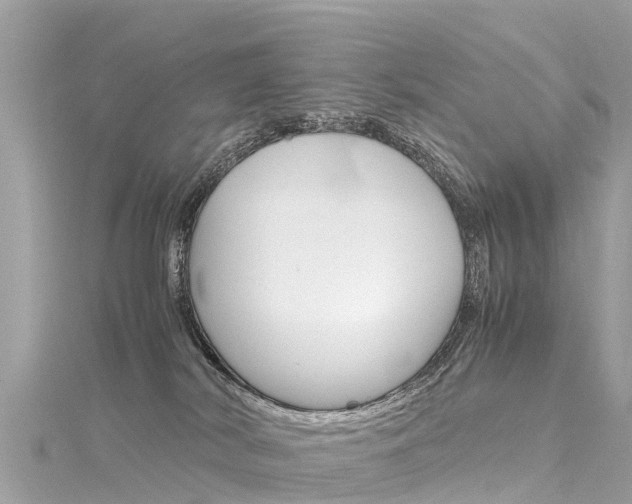 X0000116310038200911301045