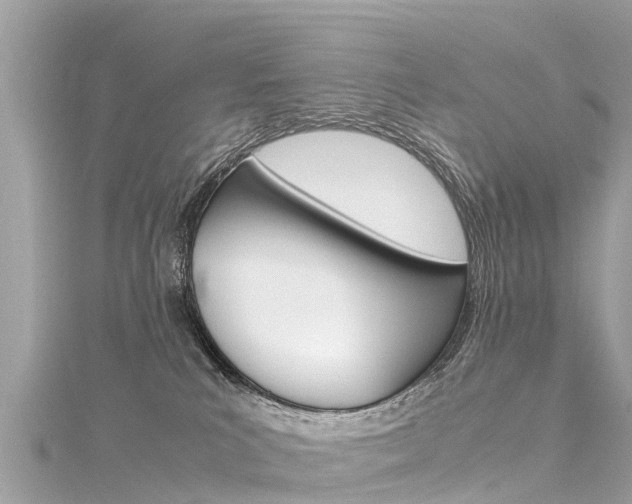 X0000116310039200911301045