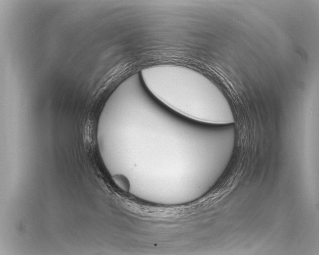 X0000116310044200911301045