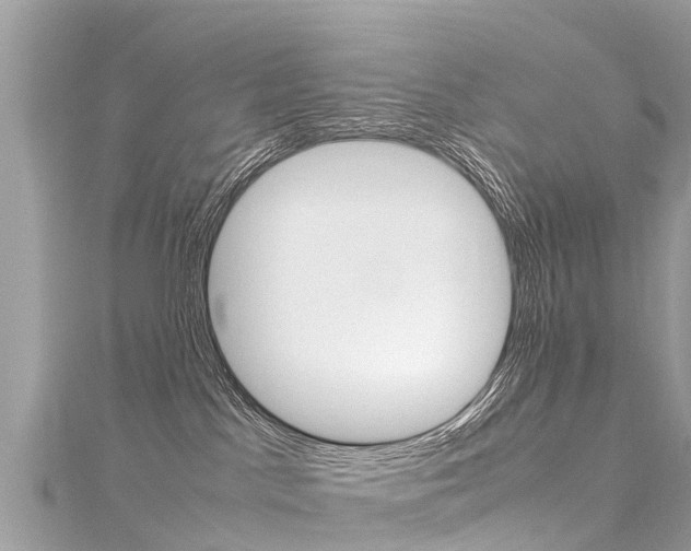 X0000116310045200911301045