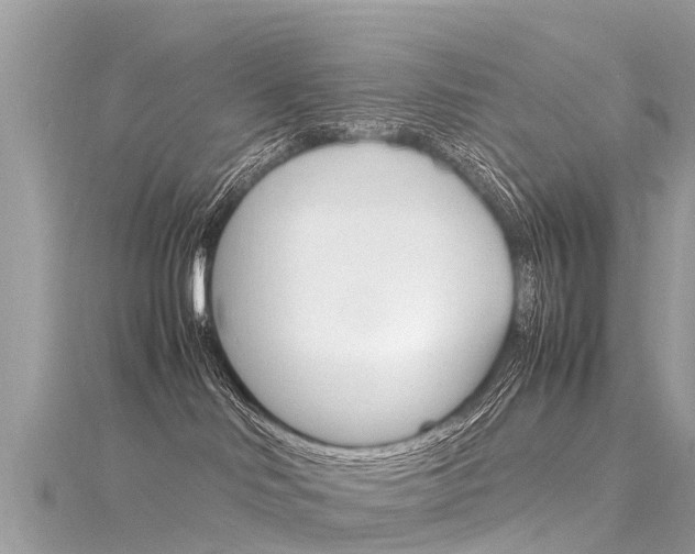 X0000116310046200911301045