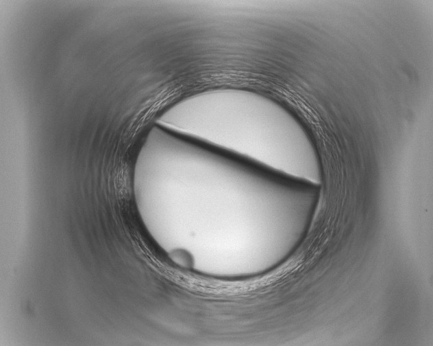 X0000116310048200911301045